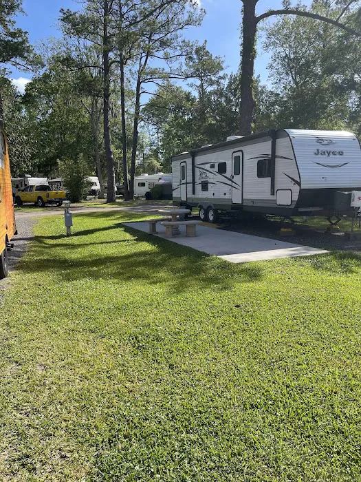 Big Tree RV Park Picture 4