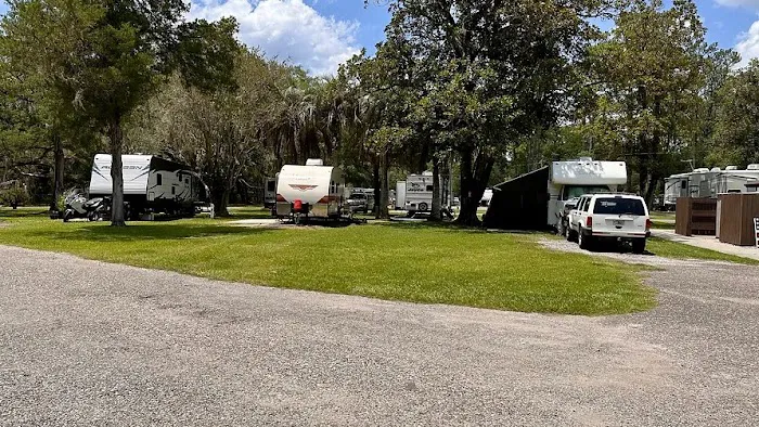 Big Tree RV Park Picture 3