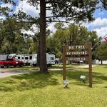 Big Tree RV Park