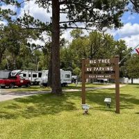 Big Tree RV Park ico