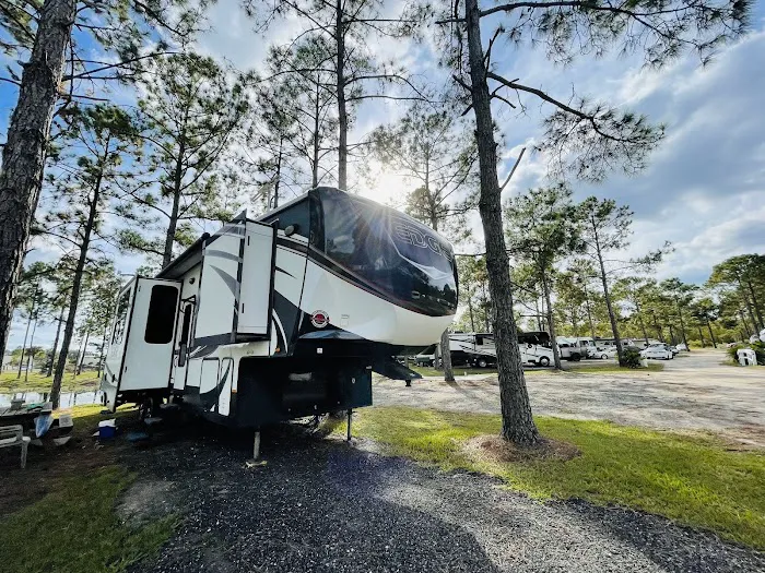 Palm Coast RV Park Picture 2