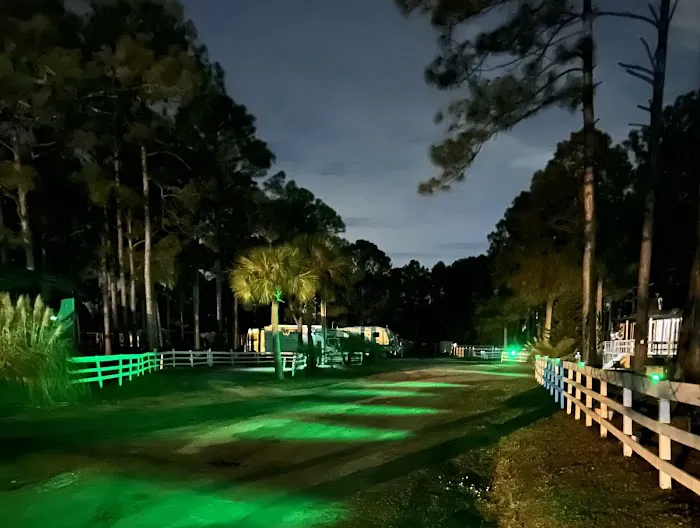 Palm Coast RV Park Picture 5