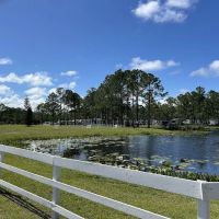 Palm Coast RV Park ico
