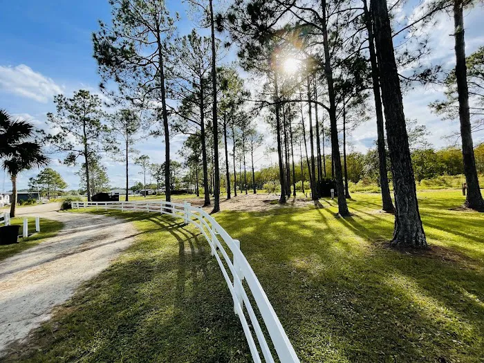 Palm Coast RV Park Picture 8