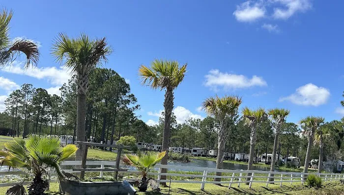 Palm Coast RV Park Picture 9