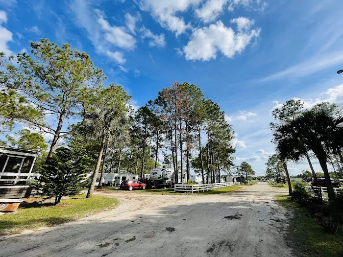 Palm Coast RV Park Picture 7