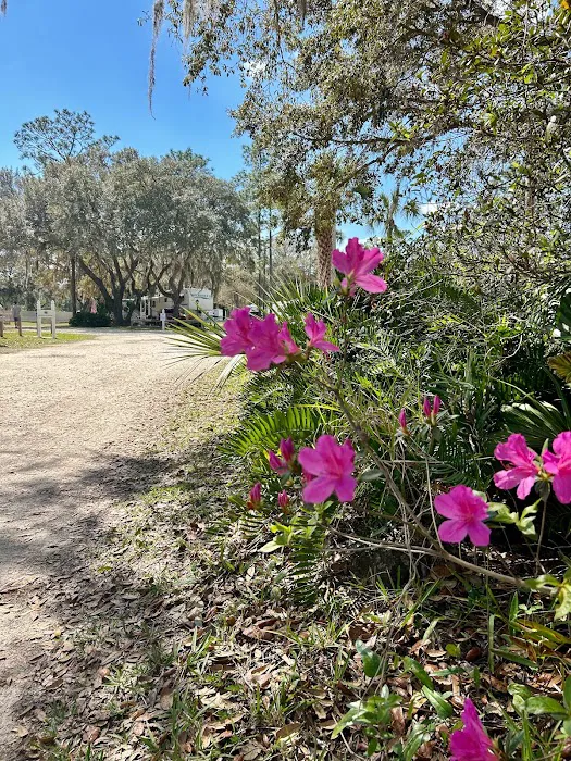 Whispering Pines RV Park Picture 8