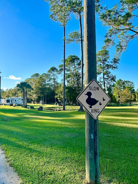 Whispering Pines RV Park Picture 4