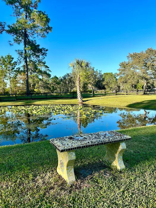 Whispering Pines RV Park Picture 6