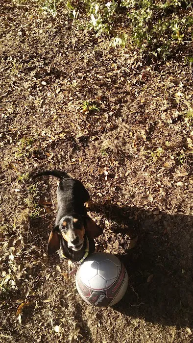 Marie's Mobile Home Park Picture 5
