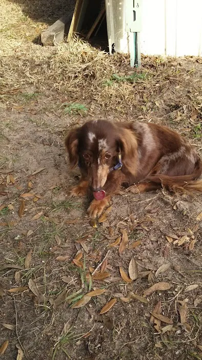 Marie's Mobile Home Park Picture 7