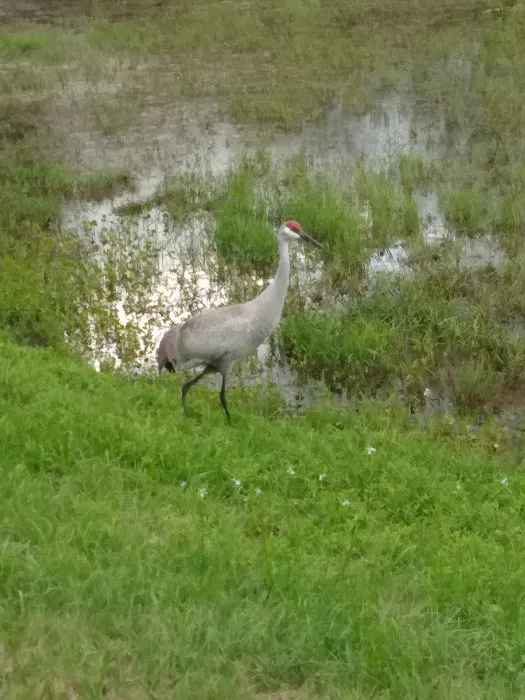 Hidden Valley Park Picture 9