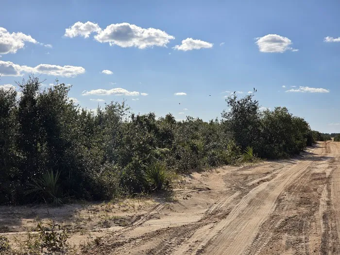 Ocala National Forest RV Park on Sunrise Lake Picture 3