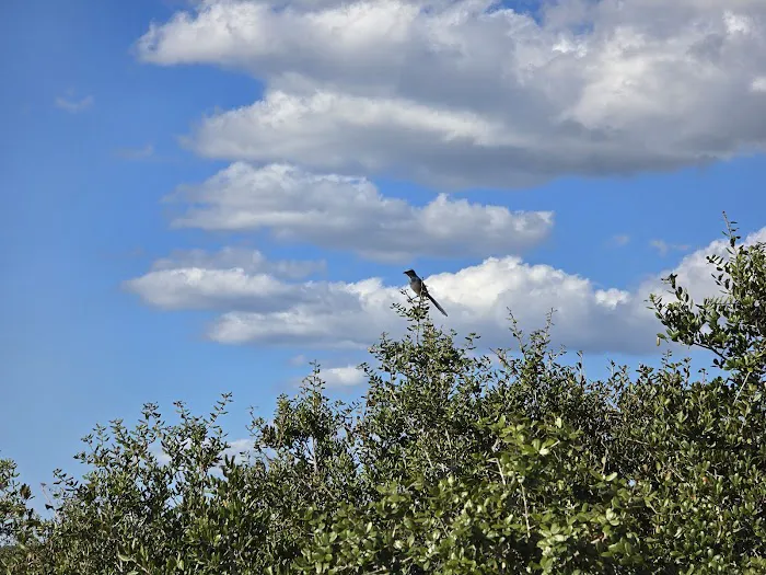 Ocala National Forest RV Park on Sunrise Lake Picture 7