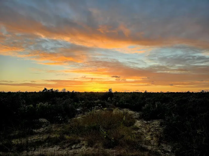Ocala National Forest RV Park on Sunrise Lake Picture 4