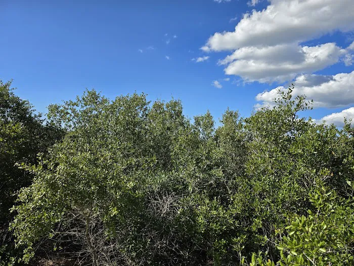 Ocala National Forest RV Park on Sunrise Lake Picture 6