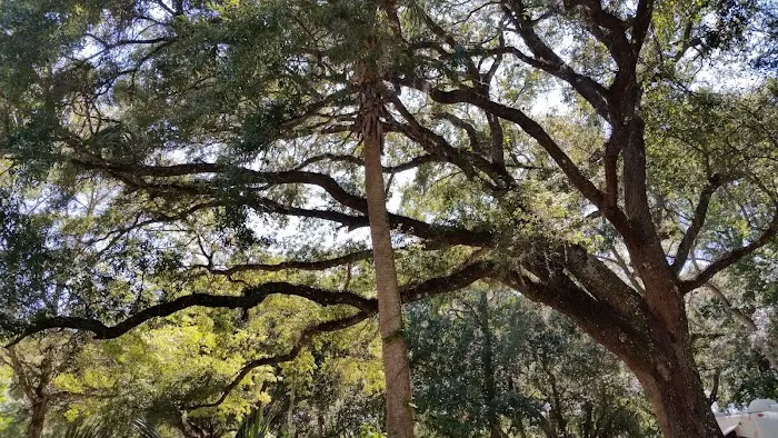 Frog Hollow Mobile Home & RV Court Picture 4