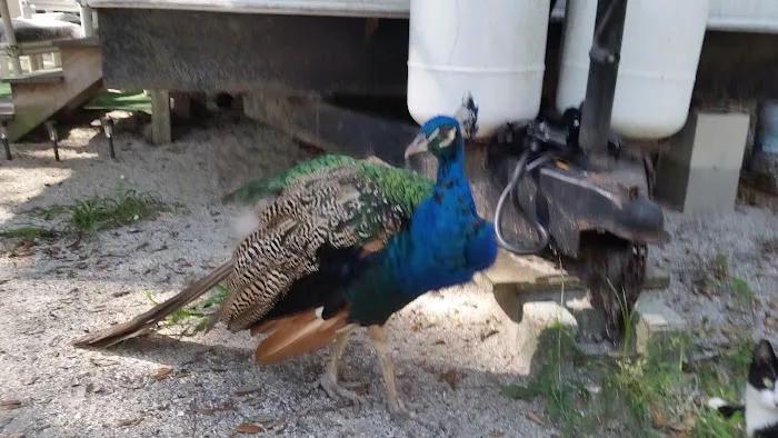 Frog Hollow Mobile Home & RV Court Picture 1