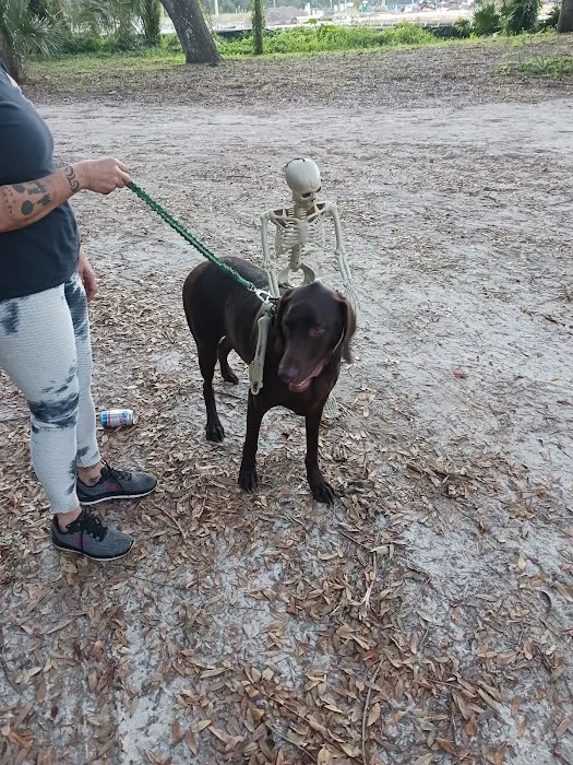 Frog Hollow Mobile Home & RV Court Picture 9