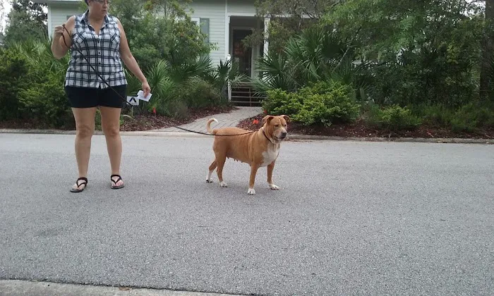 Frog Hollow Mobile Home & RV Court Picture 7