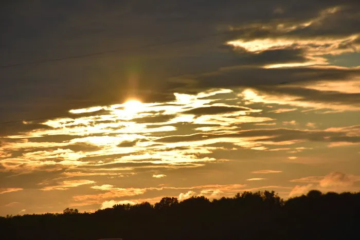 Stovall Gin Company Picture 10