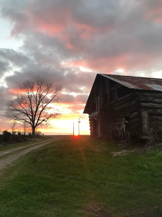 Stovall Gin Company Picture 8