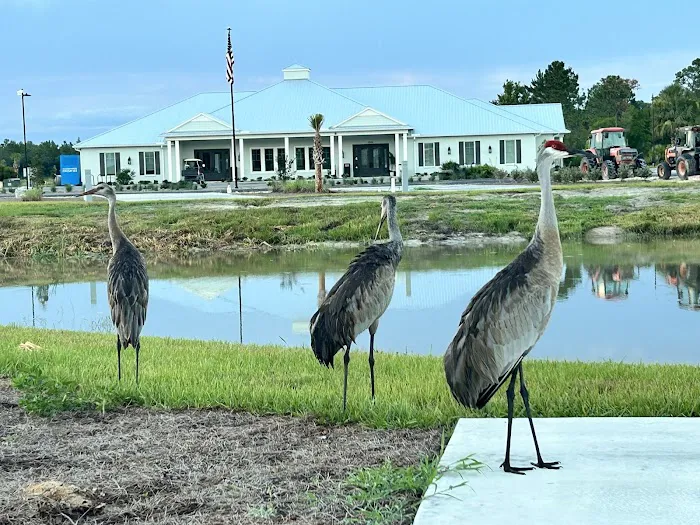 Stillwater Preserve RV Resort Picture 8