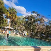 Nature's Resort Campground ico