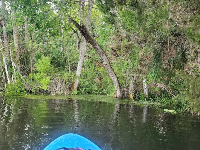 Nature's Resort Campground Picture 6