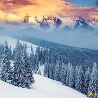 Suntree RV & Estates ico