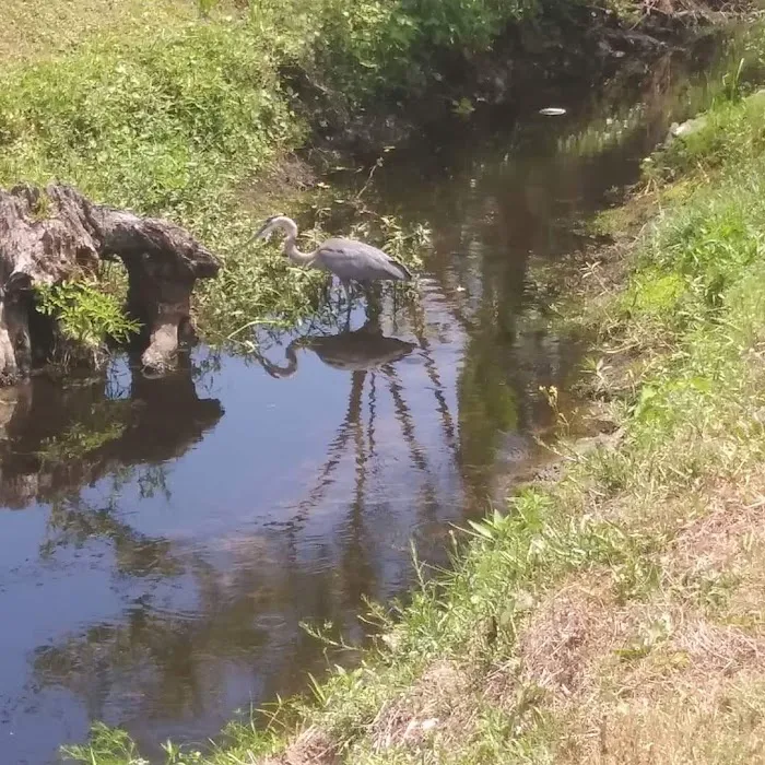 Creekside Manufactured Housing & RV Community Picture 6