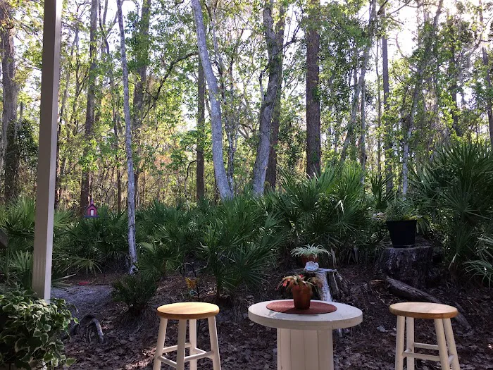 Palm Terrace Picture 1