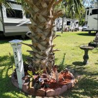 Green Acres RV Park ico