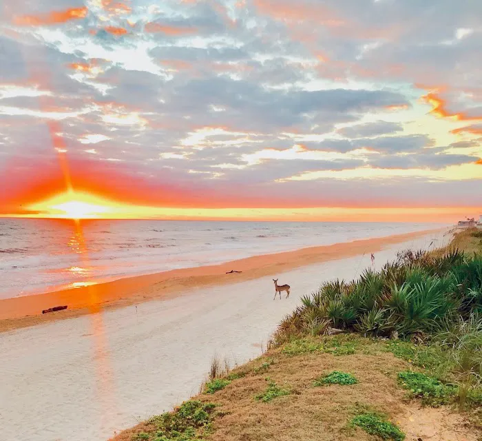 Treasure by the Sea Picture 8