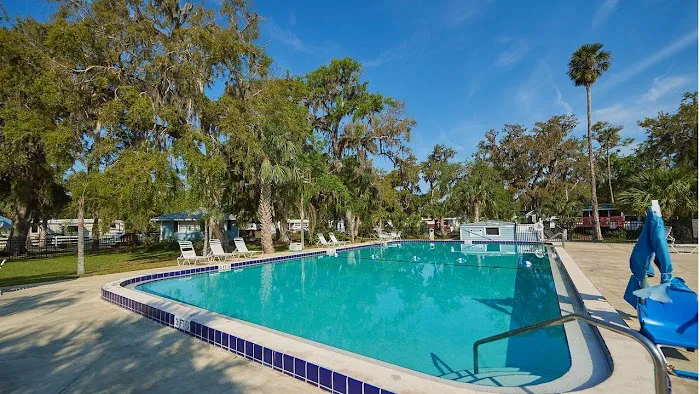 Encore Bulow Picture 1