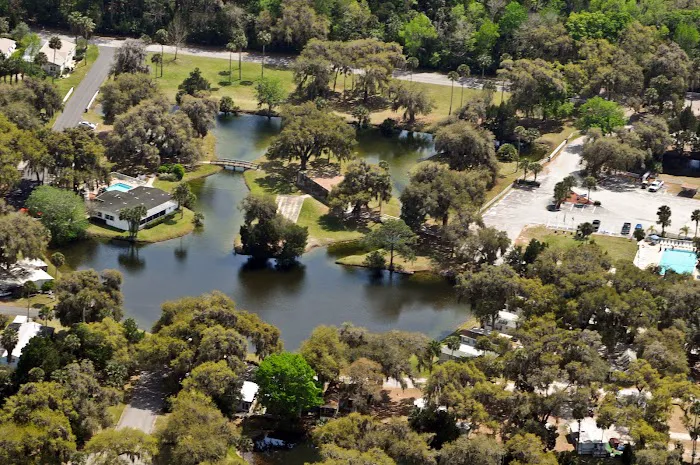 Encore Bulow Picture 2