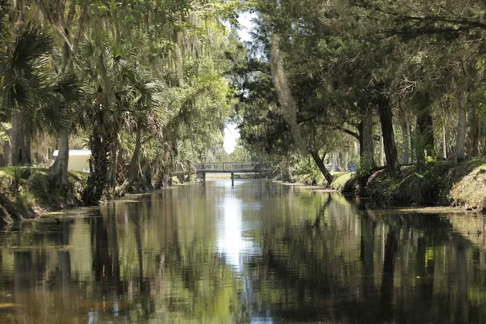 Encore Bulow Picture 4