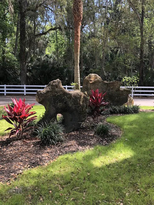 Bulow RV Resort Picture 4