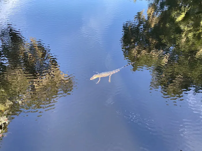 Bulow RV Resort Picture 5