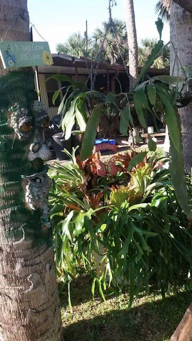 Flagler Beach Villas Picture 10