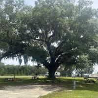 WhimCycle Trail RV Park ico