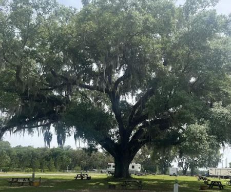 WhimCycle Trail RV Park