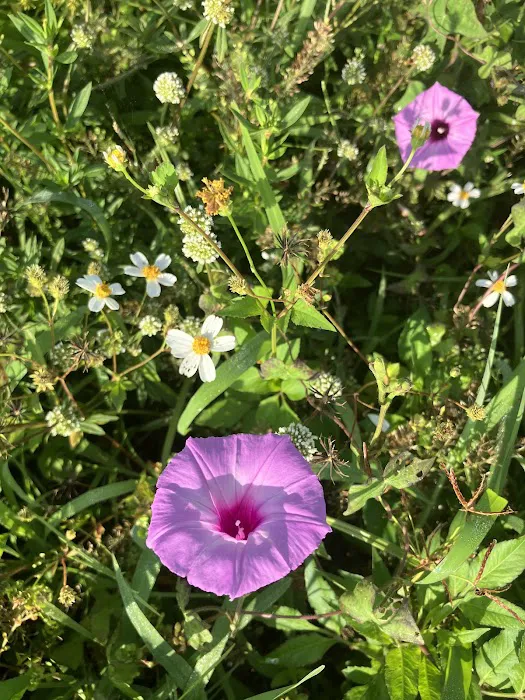 Belleview Hills Picture 1