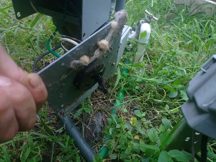 Belleview Hills Picture 2