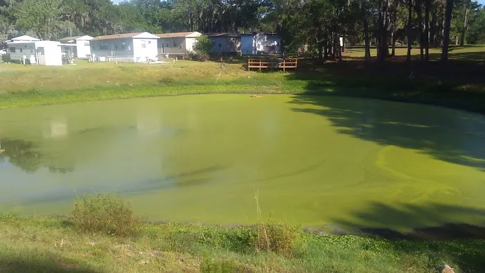 Golden Pond Village Picture 7