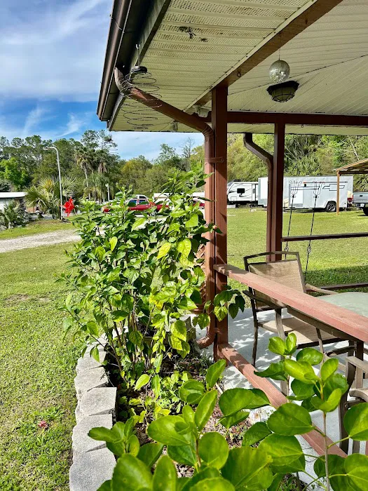 Southern Sun RV & Mobile Home Park Picture 3