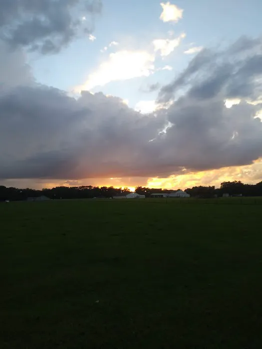 Whispering Oaks Mobile Home Pk Picture 1