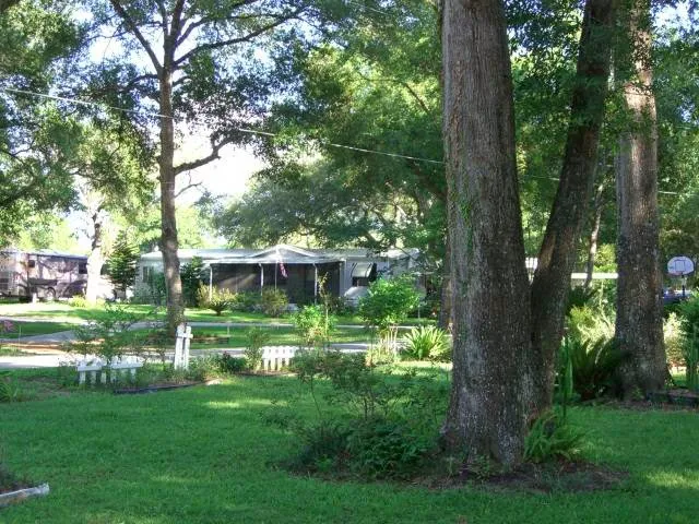 Bedrock Country Squire Picture 4