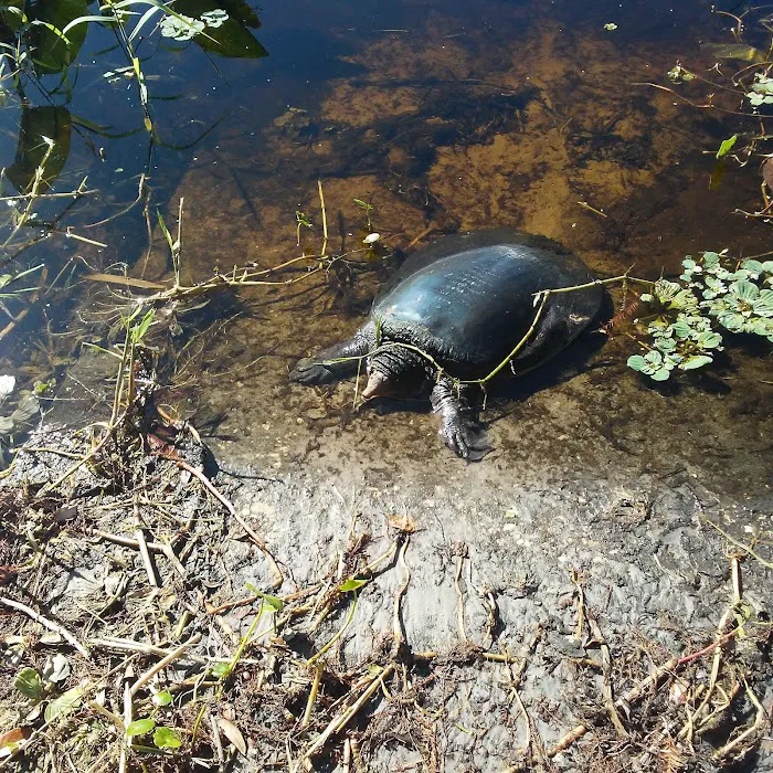 Lakeview Terrace Picture 3