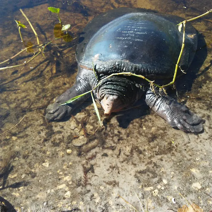 Lakeview Terrace Picture 8